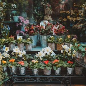 Local Florist Delivery